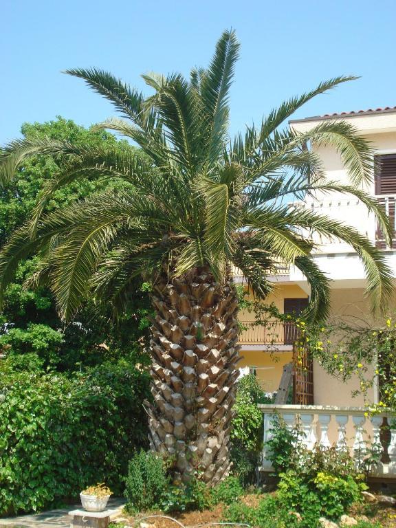 Apartments Labor Vodice Rum bild