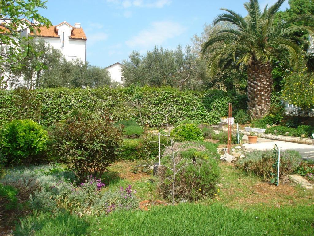 Apartments Labor Vodice Rum bild